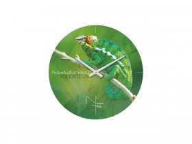 Часы настенные Nicole Time NT503 в Железнодорожном - zheleznodorozhnyj.mebel-nsk.ru | фото